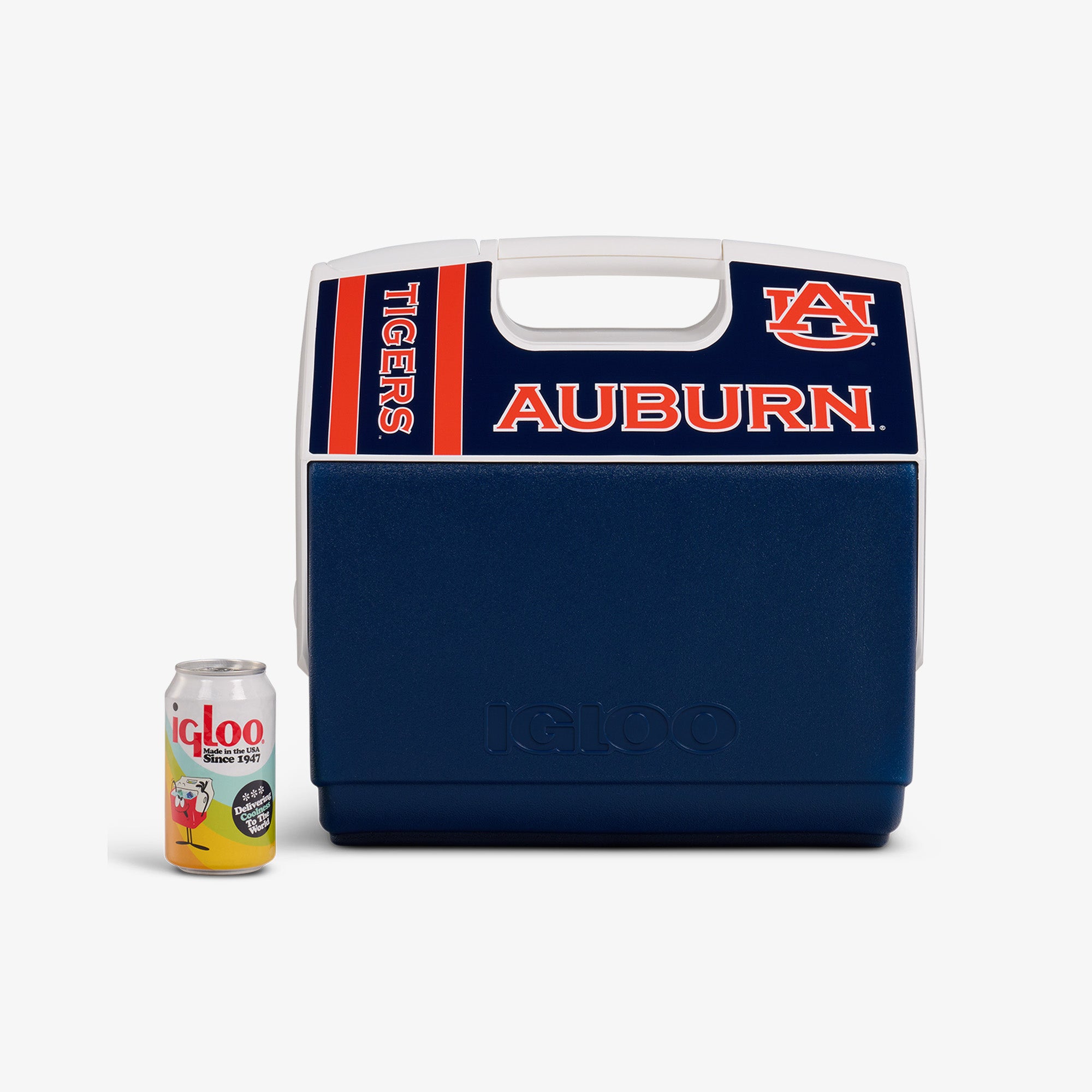 00027678-P.jpg